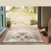 Tapis paillasson Chat curieux  50x75cm