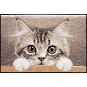 Tapis paillasson Chat curieux  50x75cm