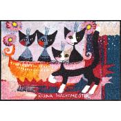 Tapis paillasson d'entrée Chat Mia Famiglia 50x75cm